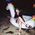 Katie Knutson's profile image