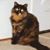 Terry Cassada Deason's profile image