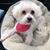 Rosie Sylvester's profile image