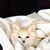 Gayle Freel's profile image