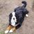 Charlie Barker's profile image