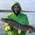 Nick Aiello Thompsen's profile image