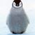 Valerie Leech's profile image