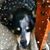 Jennifer Qualls-Gonzales's profile image