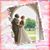 Norka Calvo's profile image