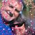 Mary Byerly's profile image