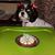Victoria Schandel Crawford's profile image