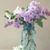 Rayleen Rawls Richie's profile image