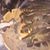 Angela Karleen Gibson's profile image
