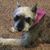 Marie Nesladek's profile image