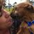 Brenda Lazarus's profile image