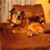 Janet Mohrman's profile image