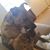 Kiran Dhillon's profile image