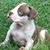 Tarra Todd's profile image