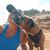 Kelly Gohl's profile image