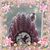 Glenna Dumford's profile image