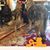Lorie Powell's profile image