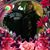 Jo Taunton's profile image