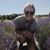 Maisy Diegnau's profile image