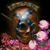 Christopher Dyches's profile image