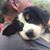 Kevin B. D'Arcy's profile image