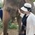 Adena Leibman's profile image