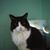 Tammy Miller's profile image