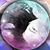 Sarahi Rodriguez-Perez's profile image