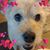 Trudy Clifton Leavy's profile image