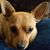 Ramona Quintero's profile image