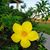 Tammy Kleist Weber's profile image