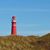 Jeroen Steerneman's profile image