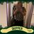 Lueree Barton's profile image
