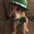 Barbara Michels's profile image