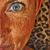 Tracy Harrity's profile image
