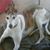 Deborah Grotheer's profile image