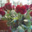 Luz Adriana Martinez's profile image