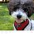 Sheldon Cooper Roberts's profile image