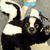 Stephanie Kurek's profile image