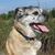 Sheri Cowan's profile image