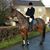 Declan Carroll's profile image