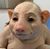 Chris Winter's profile image