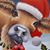 Vicki Ritmanich's profile image