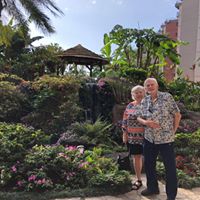 Gayle Hardcastle's profile image