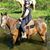 Merridee Muse's profile image