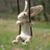 Patricia Riffe's profile image