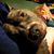 Dawn Hallam's profile image