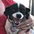 Patti Gloege's profile image