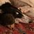 Robert Raynes's profile image