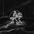 Carol Montealegre's profile image
